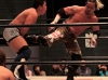 12042249.jpg